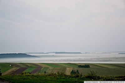 Ранковий туман над полями | NIKON CORPORATION NIKON D3100 | 52 mm | 1/25 s | f/5 | ISO200